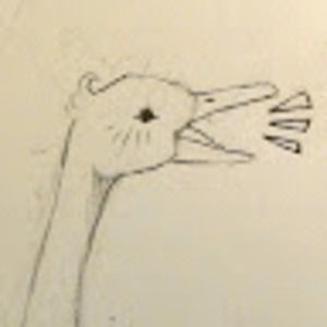 Meet your Posher, Edie